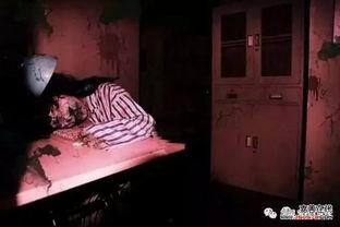 鬼屋 在线观看,在线揭秘恐怖密室惊魂之旅 第3张 鬼屋 在线观看,在线揭秘恐怖密室惊魂之旅 第3张