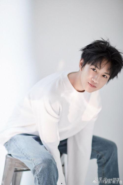 爆料娱乐圈敖子逸小说,敖子逸的璀璨星途  第1张