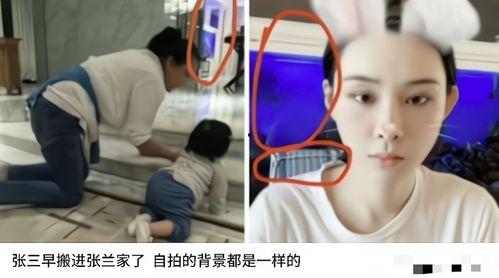 小日子直播爆料视频,爆料视频背后的惊人真相 第1张 小日子直播爆料视频,爆料视频背后的惊人真相 第1张